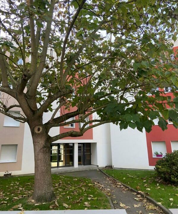 02380-13112025-061753-4