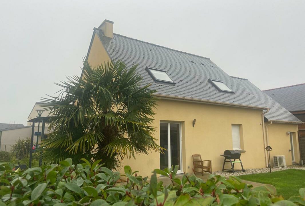 2393-29112025-054522