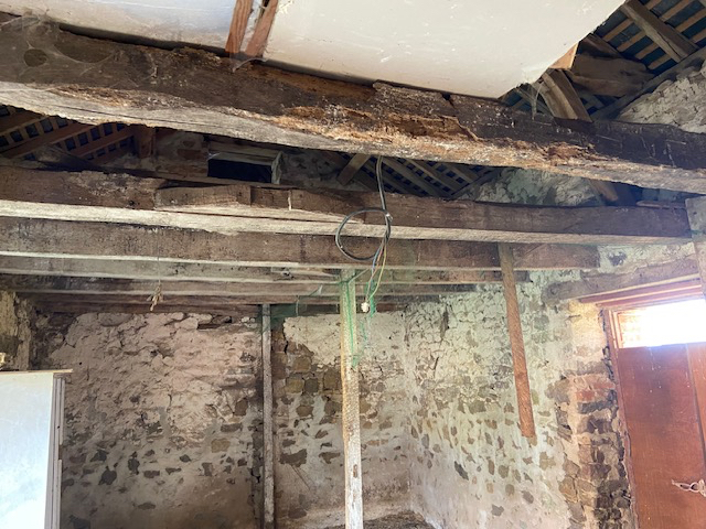 02242-03122025-062643-9