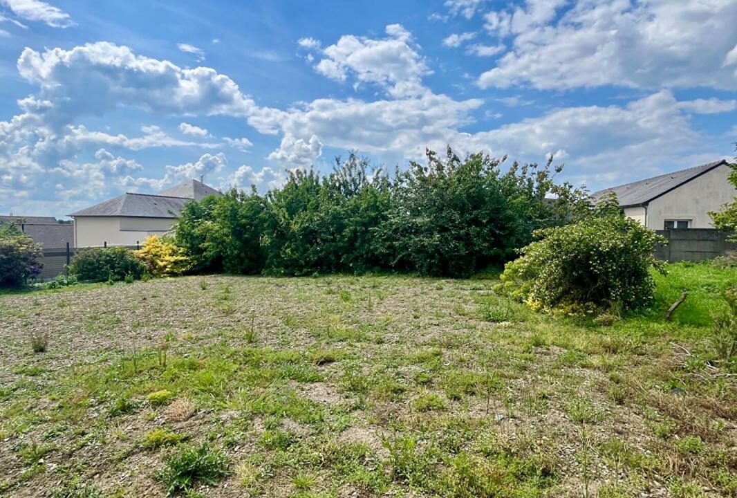 02351-23072025-113956-1