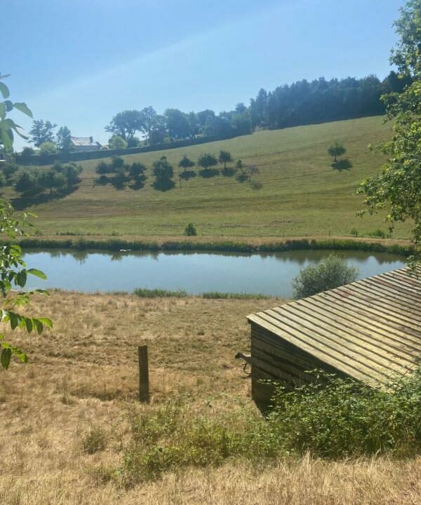 02367-03122025-062632-1