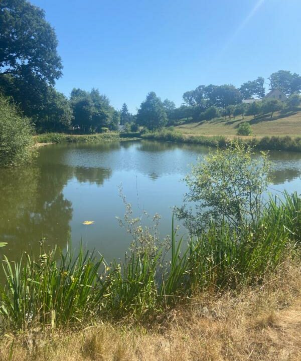 02367-03122025-062632-2