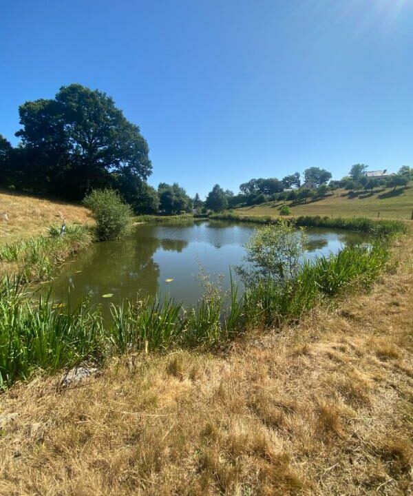 02367-03122025-062632-3