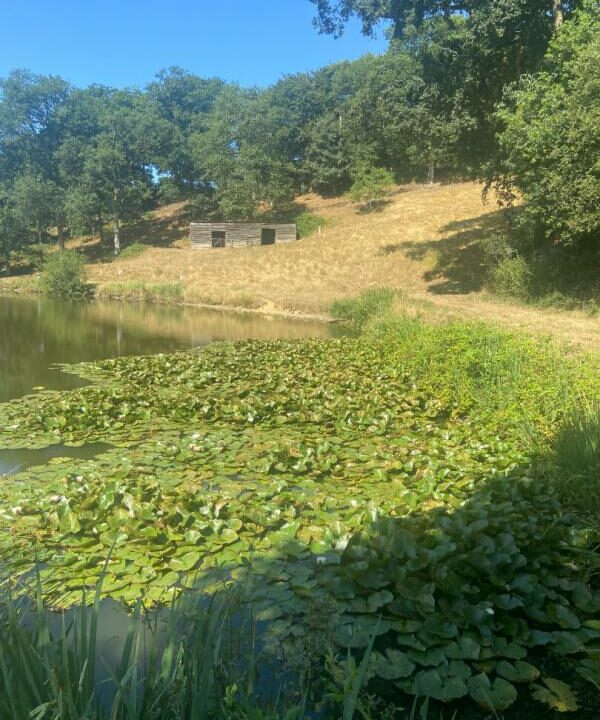 02367-03122025-062632-4