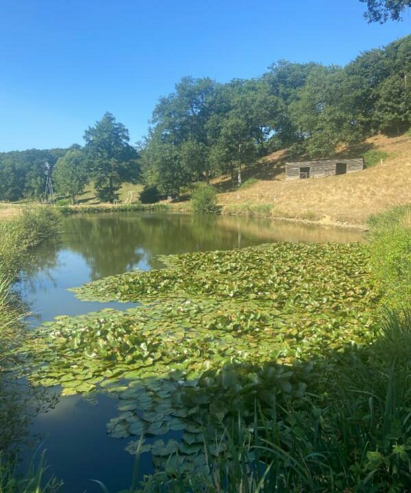 02367-03122025-062632