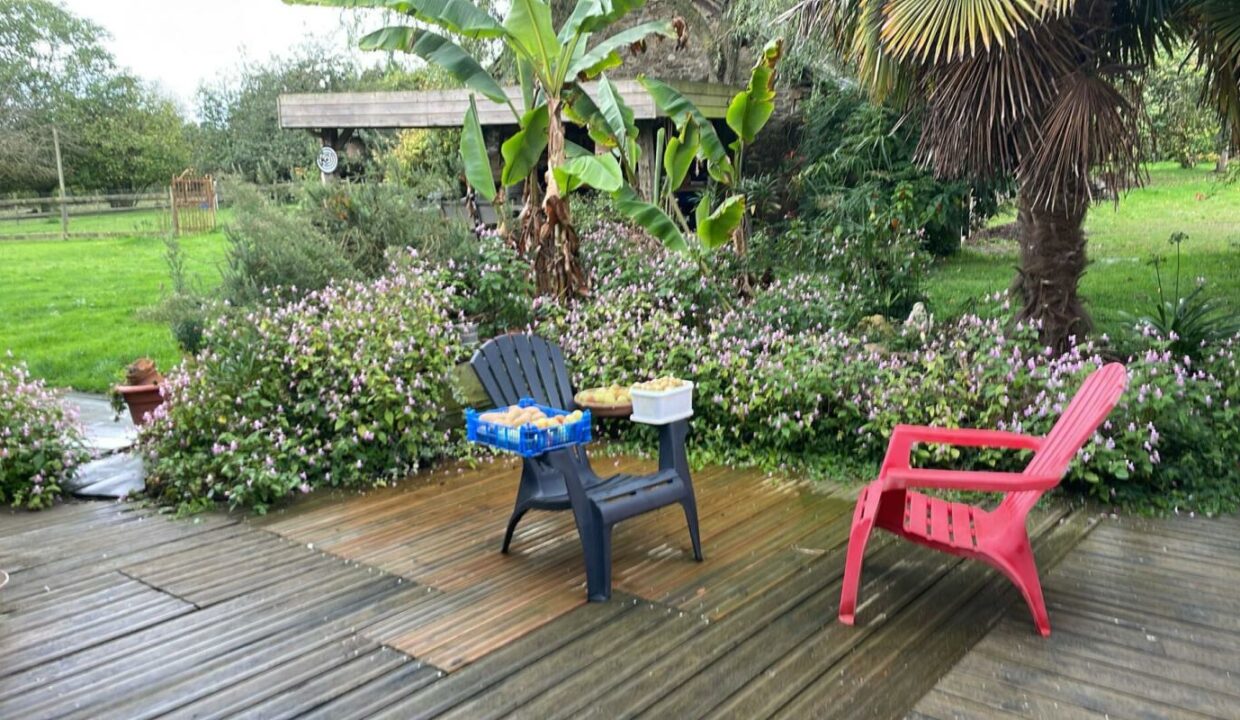 L02091-12122025-060135-5