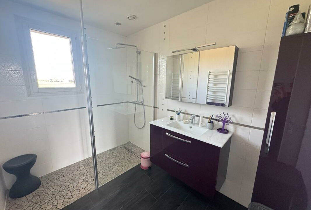 02409-28022026-053923-5