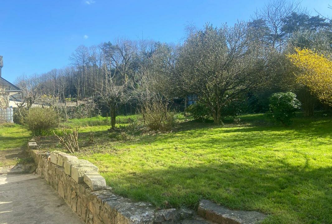 2414-24042026-053631-8